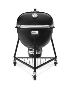 Weber Summit 24-Inch Kamado E6 Charcoal Grill with Stand